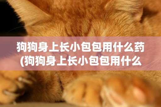 狗狗身上長小包包用什么藥(狗狗身上長小包包用什么藥最好)