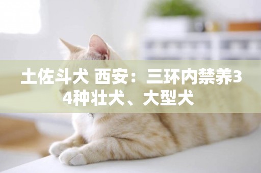 土佐斗犬 西安：三環內禁養34種壯犬、大型犬 