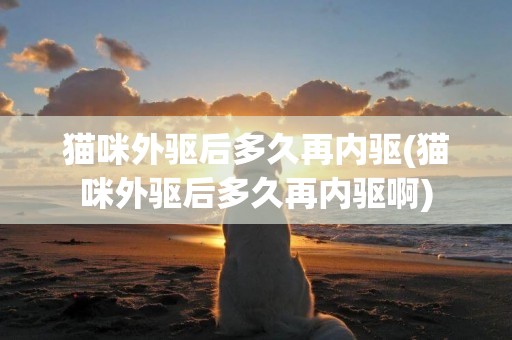 貓咪外驅后多久再內驅(貓咪外驅后多久再內驅啊)