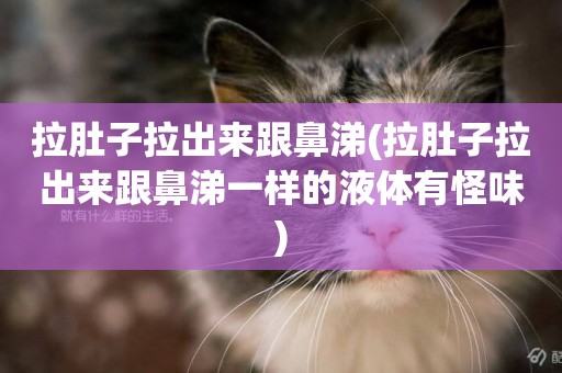 拉肚子拉出來跟鼻涕(拉肚子拉出來跟鼻涕一樣的液體有怪味)