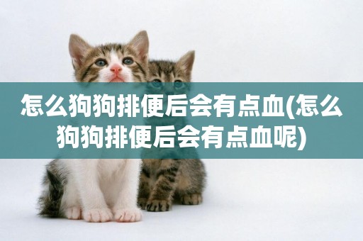 怎么狗狗排便后會有點血(怎么狗狗排便后會有點血呢)