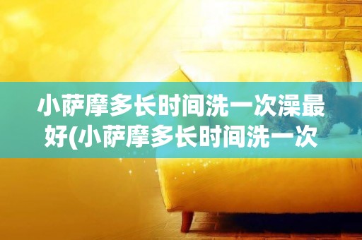 小薩摩多長時間洗一次澡最好(小薩摩多長時間洗一次澡最好呀)