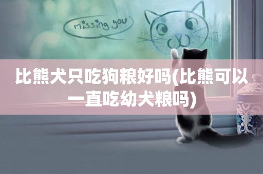 比熊犬只吃狗糧好嗎(比熊可以一直吃幼犬糧嗎)