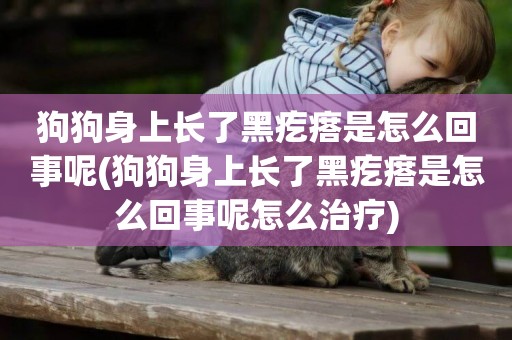 狗狗身上長了黑疙瘩是怎么回事呢(狗狗身上長了黑疙瘩是怎么回事呢怎么治療)