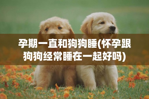孕期一直和狗狗睡(懷孕跟狗狗經常睡在一起好嗎)