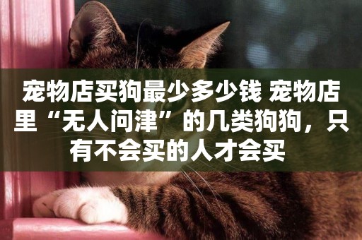 寵物店買狗最少多少錢 寵物店里“無人問津”的幾類狗狗，只有不會買的人才會買 