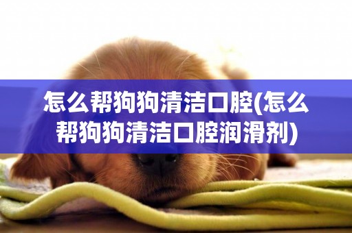 怎么幫狗狗清潔口腔(怎么幫狗狗清潔口腔潤滑劑)