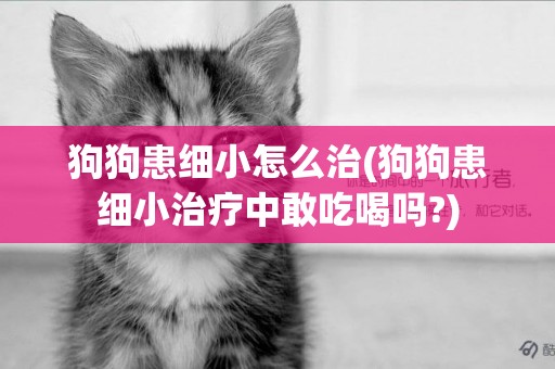 狗狗患細小怎么治(狗狗患細小治療中敢吃喝嗎?)