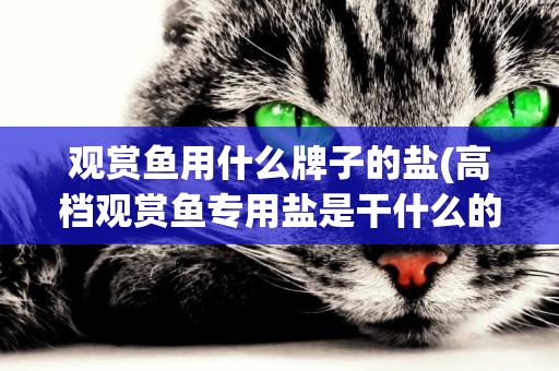 觀賞魚用什么牌子的鹽(高檔觀賞魚專用鹽是干什么的)