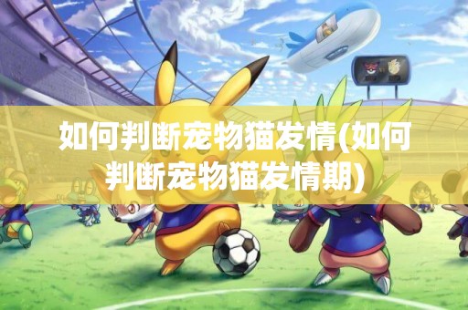 如何判斷寵物貓發情(如何判斷寵物貓發情期)
