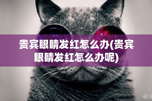 貴賓眼睛發紅怎么辦(貴賓眼睛發紅怎么辦呢)