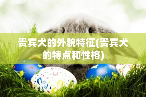 貴賓犬的外貌特征(貴賓犬的特點和性格)