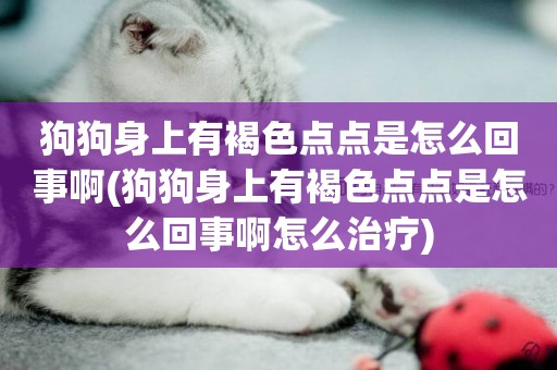 狗狗身上有褐色點點是怎么回事啊(狗狗身上有褐色點點是怎么回事啊怎么治療)