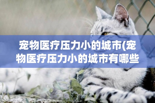 寵物醫療壓力小的城市(寵物醫療壓力小的城市有哪些)