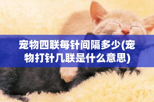 寵物四聯每針間隔多少(寵物打針幾聯是什么意思)