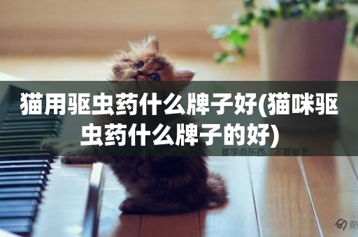 貓用驅蟲藥什么牌子好(貓咪驅蟲藥什么牌子的好)