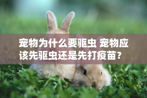 寵物為什么要驅蟲 寵物應該先驅蟲還是先打疫苗？ 