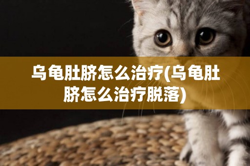 烏龜肚臍怎么治療(烏龜肚臍怎么治療脫落)