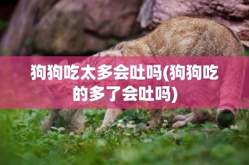 狗狗吃太多會吐嗎(狗狗吃的多了會吐嗎)
