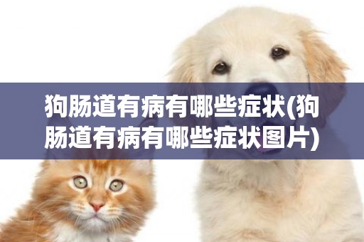 狗腸道有病有哪些癥狀(狗腸道有病有哪些癥狀圖片)
