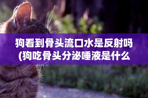 狗看到骨頭流口水是反射嗎(狗吃骨頭分泌唾液是什么行為)