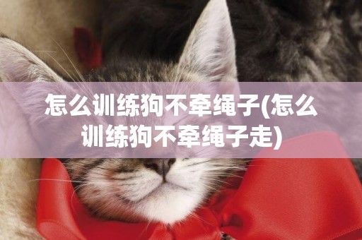 怎么訓練狗不牽繩子(怎么訓練狗不牽繩子走)