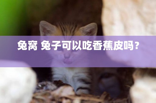 兔窩 兔子可以吃香蕉皮嗎？ 