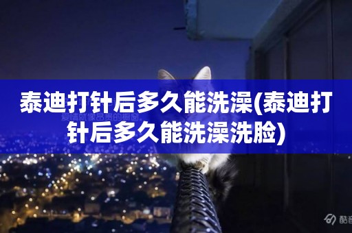泰迪打針后多久能洗澡(泰迪打針后多久能洗澡洗臉)