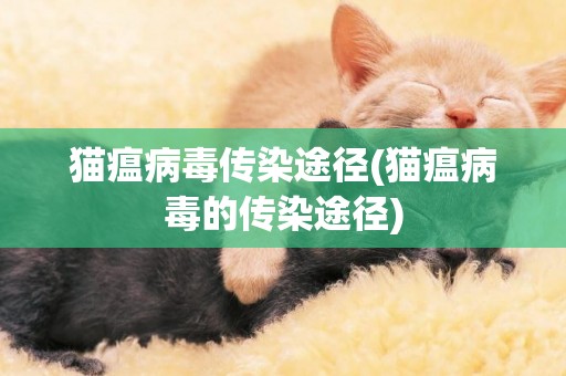 貓瘟病毒傳染途徑(貓瘟病毒的傳染途徑)