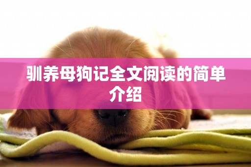 馴養母狗記全文閱讀的簡單介紹