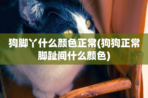 狗腳丫什么顏色正常(狗狗正常腳趾間什么顏色)
