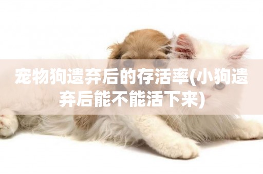 寵物狗遺棄后的存活率(小狗遺棄后能不能活下來)