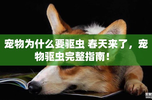 寵物為什么要驅蟲 春天來了，寵物驅蟲完整指南！ 