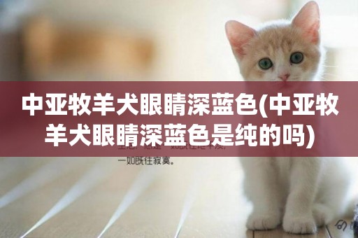 中亞牧羊犬眼睛深藍色(中亞牧羊犬眼睛深藍色是純的嗎)