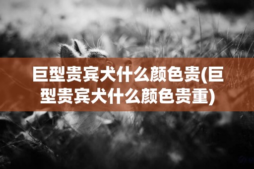 巨型貴賓犬什么顏色貴(巨型貴賓犬什么顏色貴重)