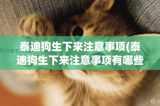 泰迪狗生下來注意事項(泰迪狗生下來注意事項有哪些)