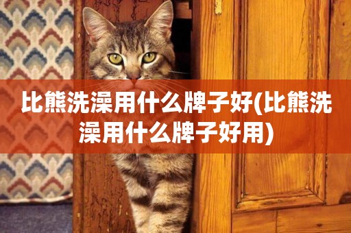 比熊洗澡用什么牌子好(比熊洗澡用什么牌子好用)