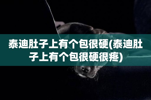 泰迪肚子上有個包很硬(泰迪肚子上有個包很硬很疼)