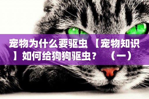 寵物為什么要驅蟲 【寵物知識】如何給狗狗驅蟲？  （一） 