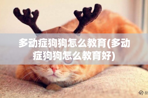 多動癥狗狗怎么教育(多動癥狗狗怎么教育好)