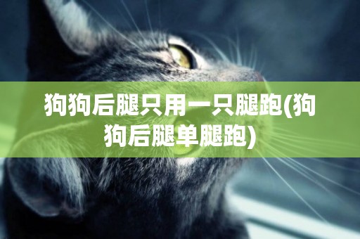 狗狗后腿只用一只腿跑(狗狗后腿單腿跑)