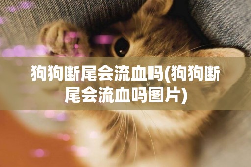 狗狗斷尾會流血嗎(狗狗斷尾會流血嗎圖片)