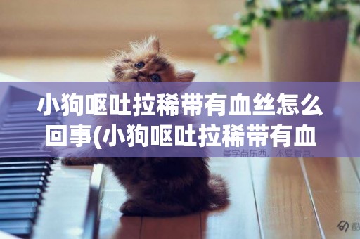 小狗嘔吐拉稀帶有血絲怎么回事(小狗嘔吐拉稀帶有血絲怎么回事兒)