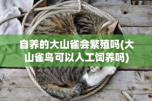 自養的大山雀會繁殖嗎(大山雀鳥可以人工飼養嗎)