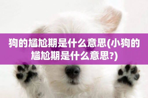 狗的尷尬期是什么意思(小狗的尷尬期是什么意思?)