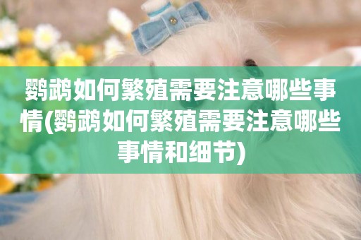 鸚鵡如何繁殖需要注意哪些事情(鸚鵡如何繁殖需要注意哪些事情和細節)