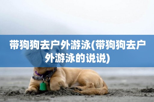 帶狗狗去戶外游泳(帶狗狗去戶外游泳的說說)