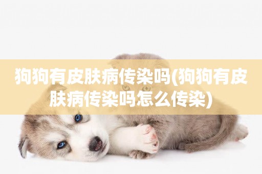 狗狗有皮膚病傳染嗎(狗狗有皮膚病傳染嗎怎么傳染)