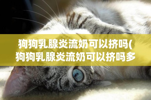 狗狗乳腺炎流奶可以擠嗎(狗狗乳腺炎流奶可以擠嗎多久)