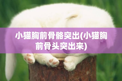 小貓胸前骨骼突出(小貓胸前骨頭突出來)